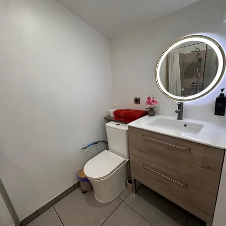 Les Appartements Du Palais Carcassonne Extérieur photo